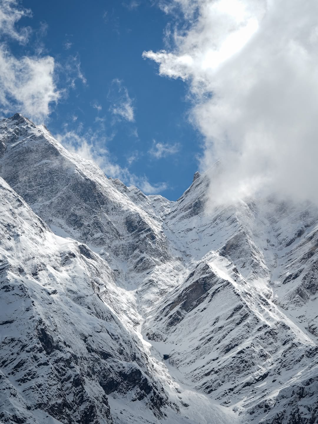 SnapInsta.to_587634151_18338956789225911_831069252404707194_n